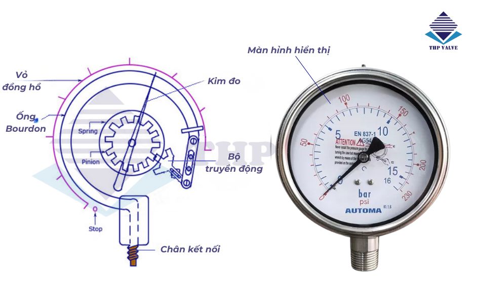 cấu tạo đồng hồ áp inox AG54 – Automa Korea