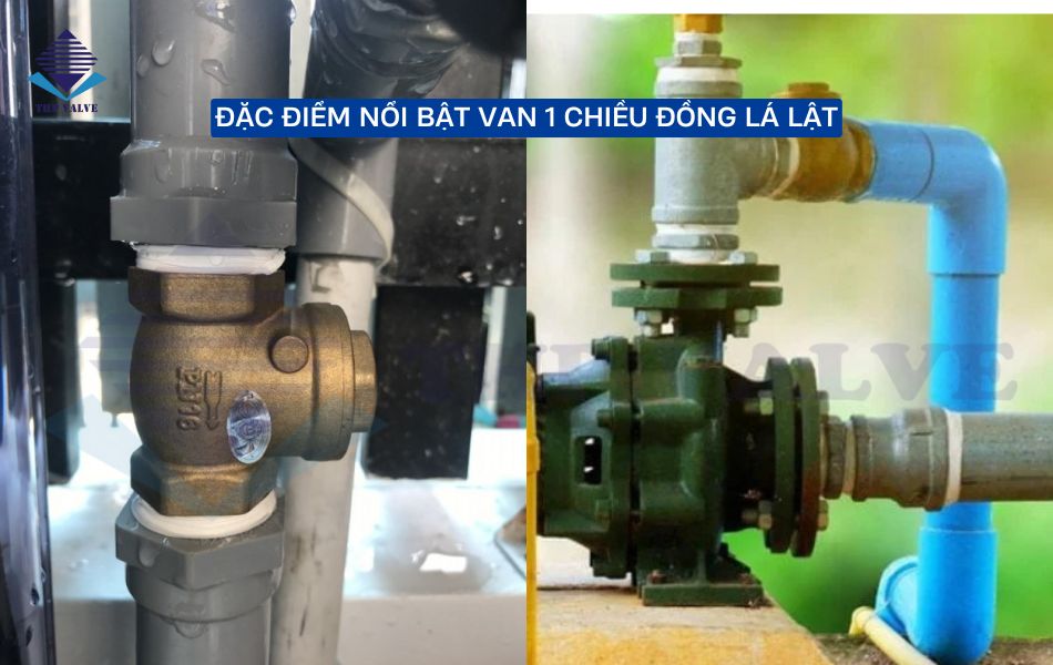 van-1-chieu-dong-la-lat-co-nhieu-dac-diem-noi-bat-