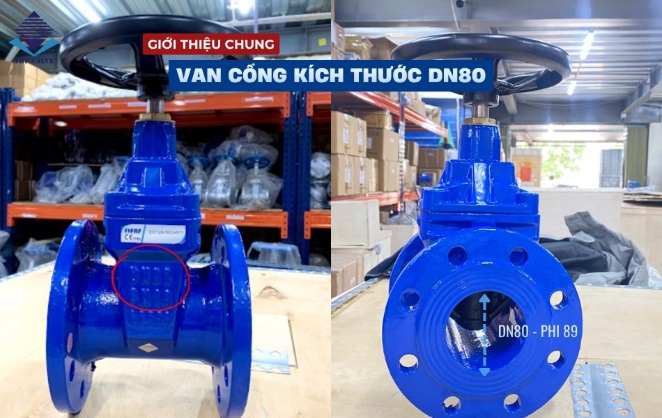 van-cong-dn80-su-dung-duong-ong-phi-89