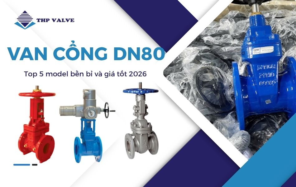van-cong-dn80