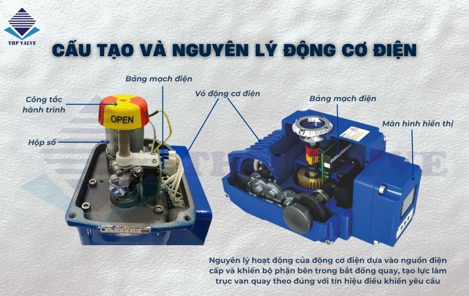 cấu tạo và nguyên lý hoạt động của động cơ điện