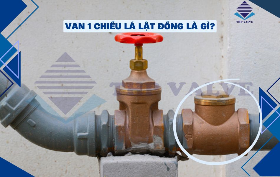 giới thiệu về sản phẩm van 1 chiều lá lật đồng