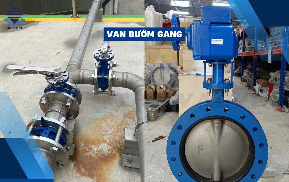 van bướm gang