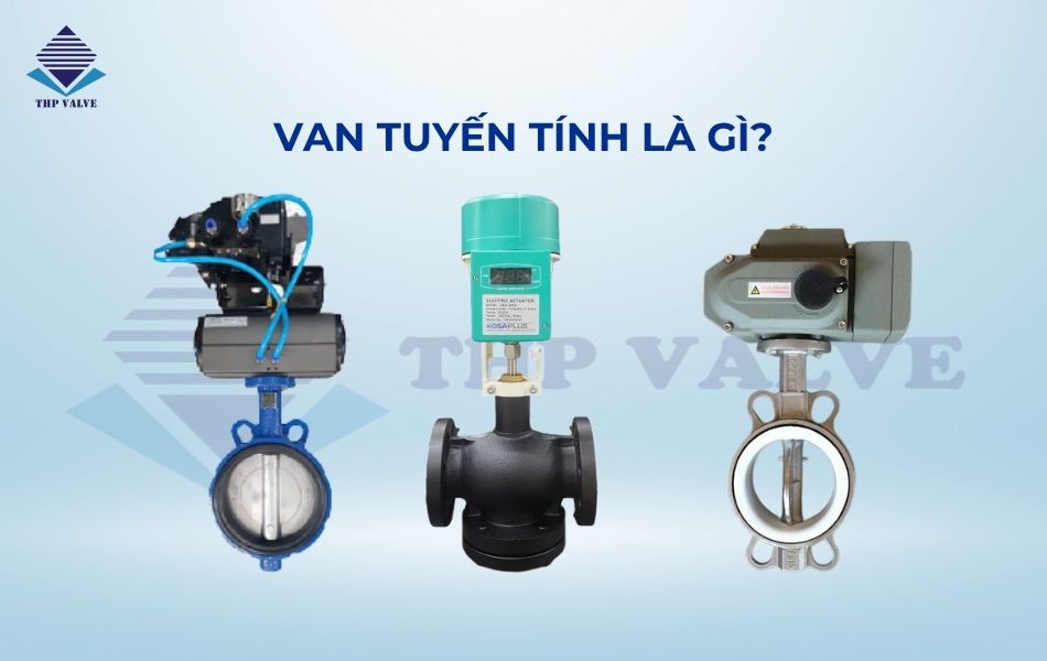 van tuyến tính là gì